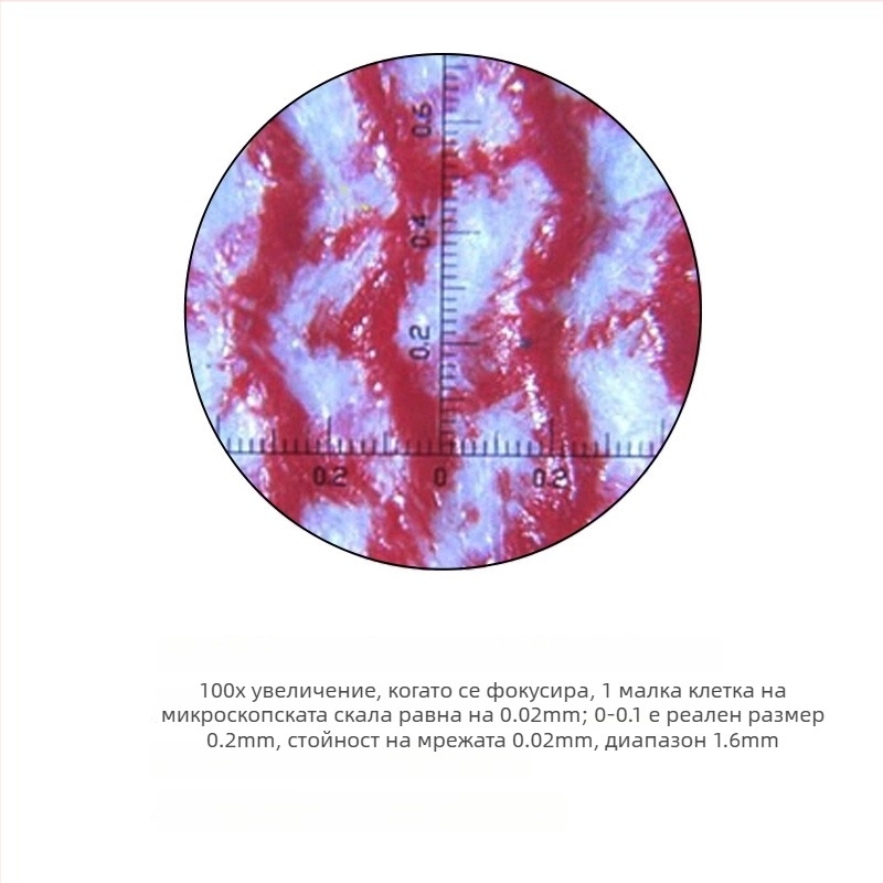 Преносим професионален микроскоп - 100x увеличение, LED осветление, мащаб за измерване