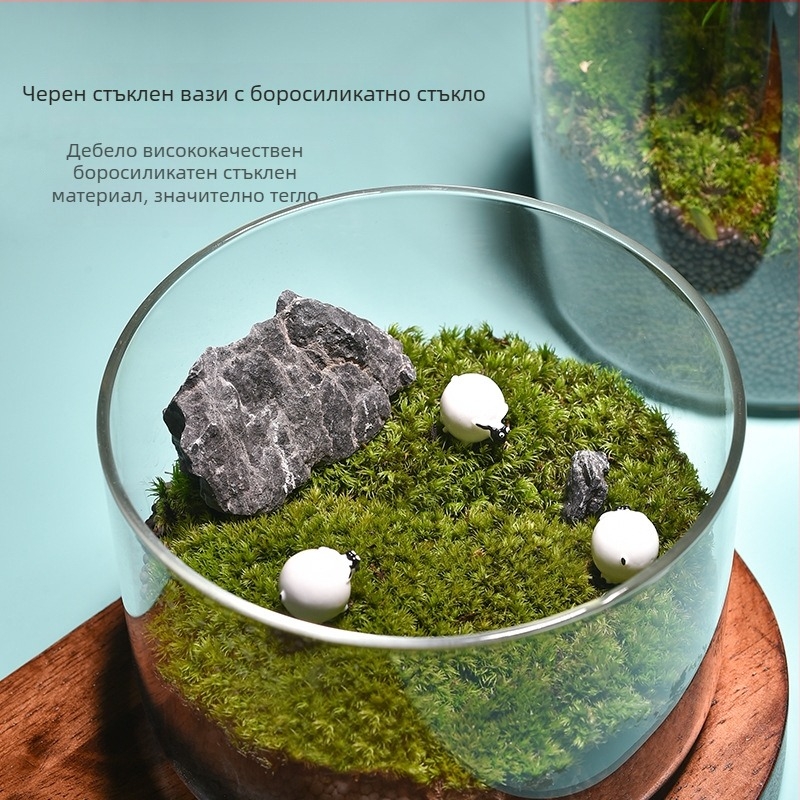 Прозрачна стъклена ваза за микро ландшафт, цилиндричен дизайн, боросиликатно стъкло, обработка и персонализация: Да, Thick Glass