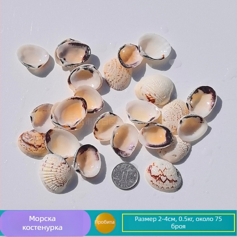 Декорация от естествени конхи и морска звезда за аквариум/террариум – перфорирана ръчно изработена рамка за детски снимки, DIY звънче за вятър и бутилка drift