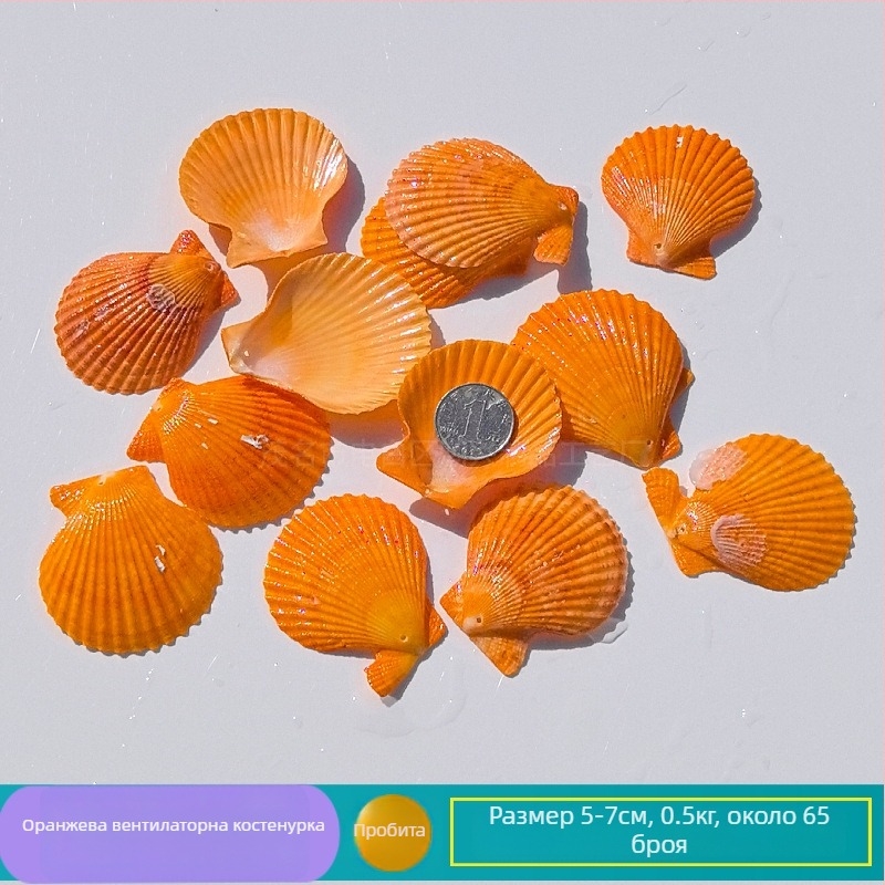 Декорация от естествени конхи и морска звезда за аквариум/террариум – перфорирана ръчно изработена рамка за детски снимки, DIY звънче за вятър и бутилка drift