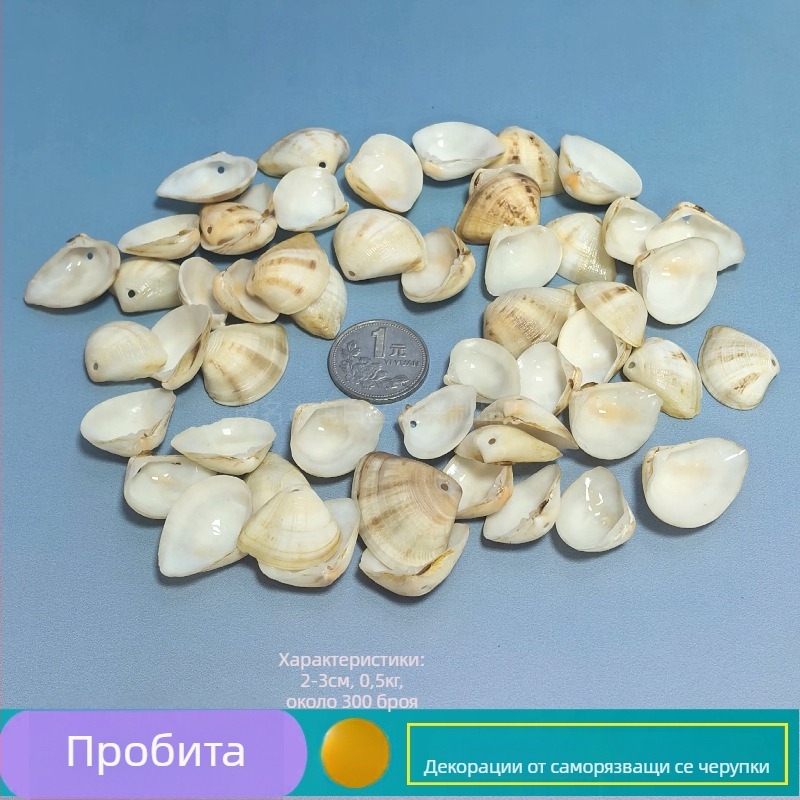 Декорация от естествени конхи и морска звезда за аквариум/террариум – перфорирана ръчно изработена рамка за детски снимки, DIY звънче за вятър и бутилка drift