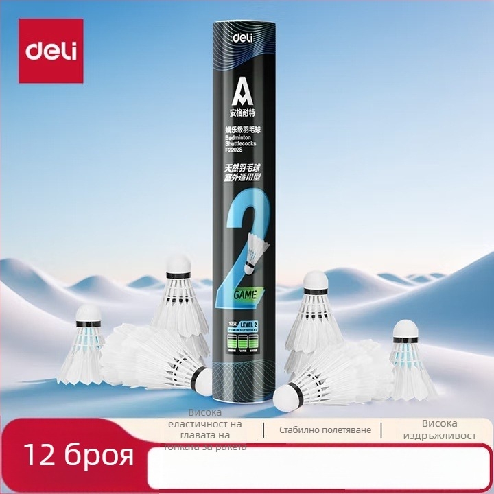 Deliangernet ракетка за бадминтон, 2 броя, 95–100 г, прав удар, за любители и юниори