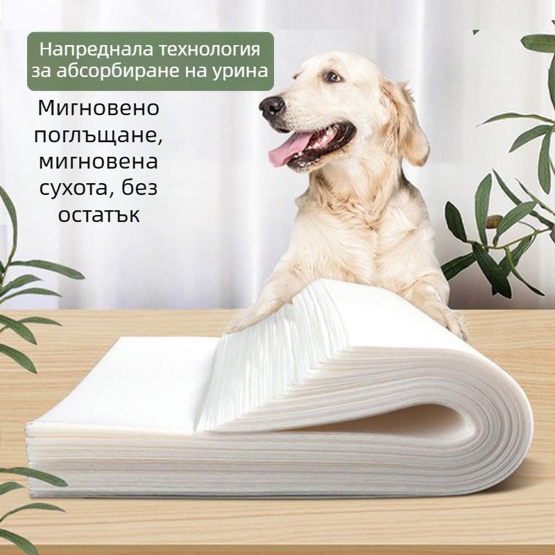 Еднократна абсорбираща хартия за урина за кучета Теди — уринова бариера, нетъкана хартия за домашни любимци