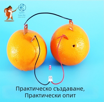 Научно-образователен комплект: часовник с плодова батерия — метален, електрически, многофункционален, за деца 4–6 години