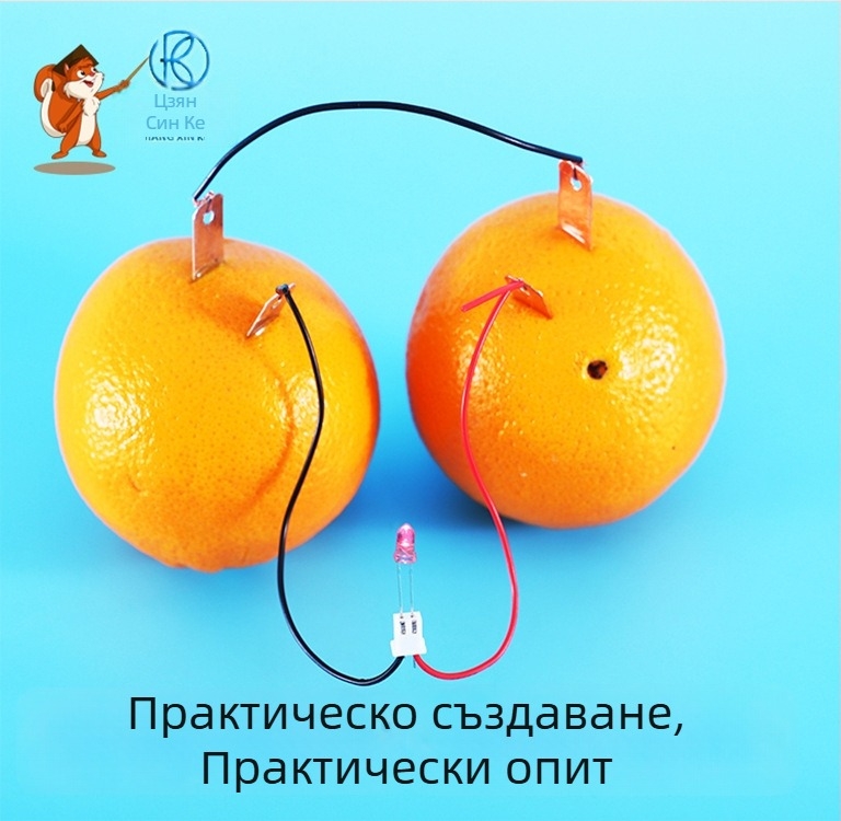 Научно-образователен комплект: часовник с плодова батерия — метален, електрически, многофункционален, за деца 4–6 години