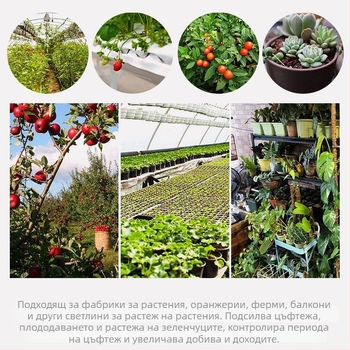 LED лампа за растеж на растения със пълен спектър, вътрешно осветление за зелени и сукулентни растения - 220V, 4200 lm, IP65, 50000 ч, постоянен ток