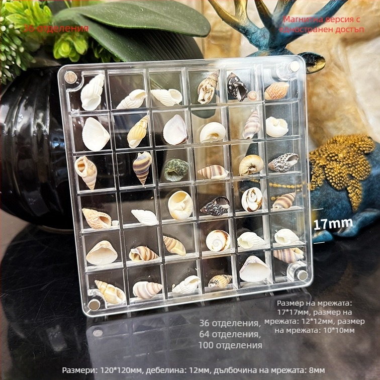 Акрилна магнитна кутия с отделения и рамка за снимки с ракушка, едностранна и двустранна, мини съхранение за бижута, модерен стил