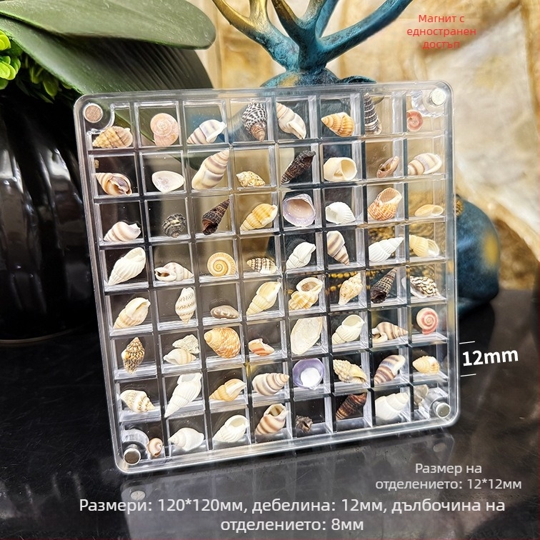 Акрилна магнитна кутия с отделения и рамка за снимки с ракушка, едностранна и двустранна, мини съхранение за бижута, модерен стил