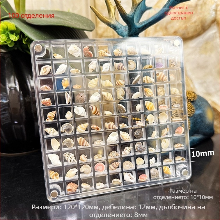 Акрилна магнитна кутия с отделения и рамка за снимки с ракушка, едностранна и двустранна, мини съхранение за бижута, модерен стил