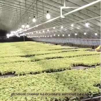 LED лампа за растеж на растения с пълен спектър, 32 LED, 2015 lm, 220V вход, Mullinsen чип, живот 30000 ч