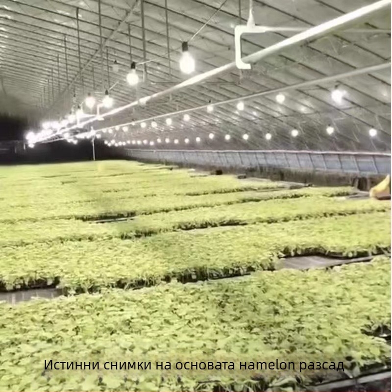 LED лампа за растеж на растения с пълен спектър, 32 LED, 2015 lm, 220V вход, Mullinsen чип, живот 30000 ч