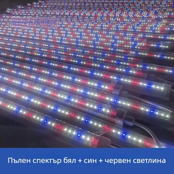 T8 LED лампа за растения с пълен спектър, модел Zyc-1200-20W, LM281B/3030 LED, 120 светодиода, 4023 lm, IP65