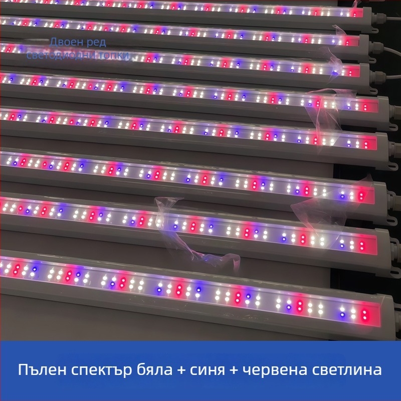 T8 LED лампа за растения с пълен спектър, модел Zyc-1200-20W, LM281B/3030 LED, 120 светодиода, 4023 lm, IP65