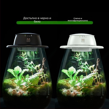 Зареждаема светлина за растения за микроландшафт с бутилка с мъх, LED с пълен спектър, 4 светодиода, 140 lm, IP65, 220 V, живот 3–5 години