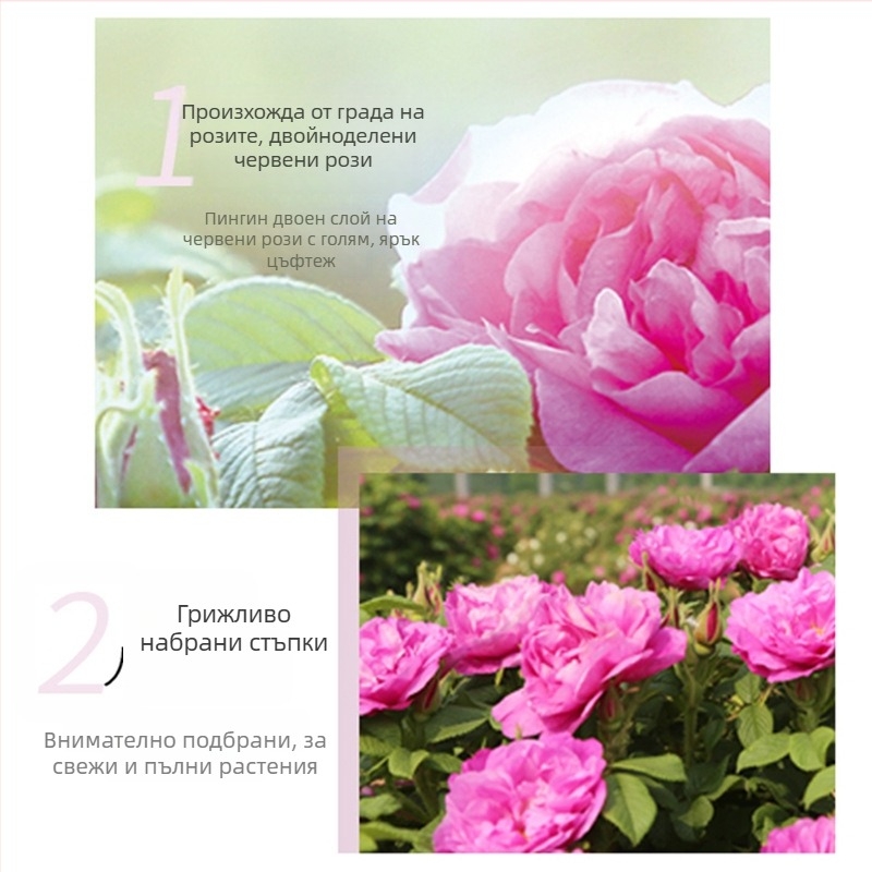 Розова овлажняваща крем-гел маска за неутрална, мазна и суха кожа (3 години срок на годност; без внос)