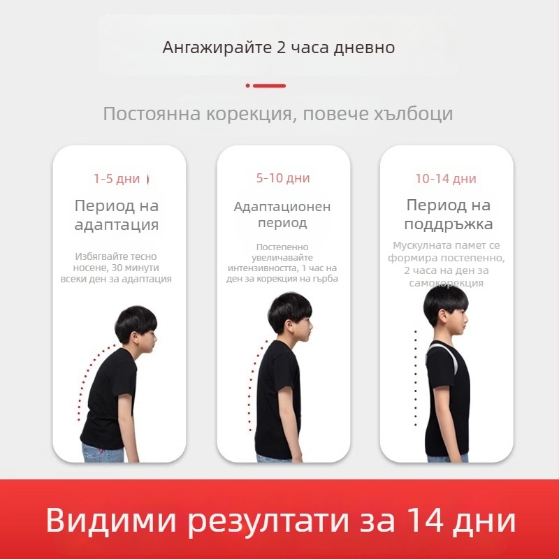 Benbo AM-027 Коректор за изкривяване на гърба | Унисекс колан за подкрепа на гърба | Пуснат през 2023 г. | Сертифициран по тестов доклад