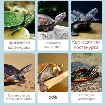 Храна за костенурки - безсолна, сушени червеи и скариди за аквариумни костенурки