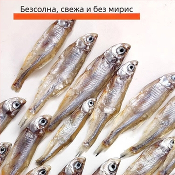 Храна за костенурки - безсолна, сушени червеи и скариди за аквариумни костенурки