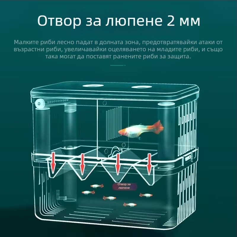 Инкубатор аквариум за бетта риба, PS материал, разделяне по време на инкубацията, марка Yao liu ba