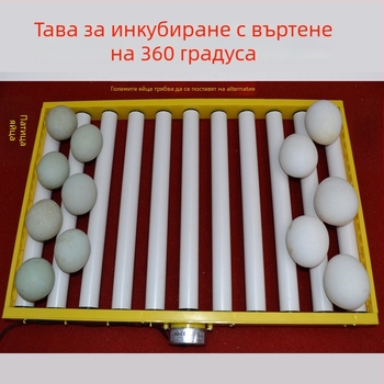 Jiayu Инкубатор за яйца и кошница за излюпване за кокошки – 360° самостоятелен ролер за яйца, 6-месечна гаранция, за птицевъдство и аквакултура