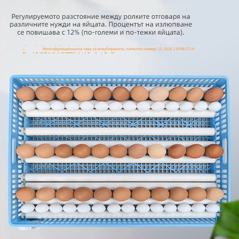 Jiayu Инкубатор за яйца и кошница за излюпване за кокошки – 360° самостоятелен ролер за яйца, 6-месечна гаранция, за птицевъдство и аквакултура
