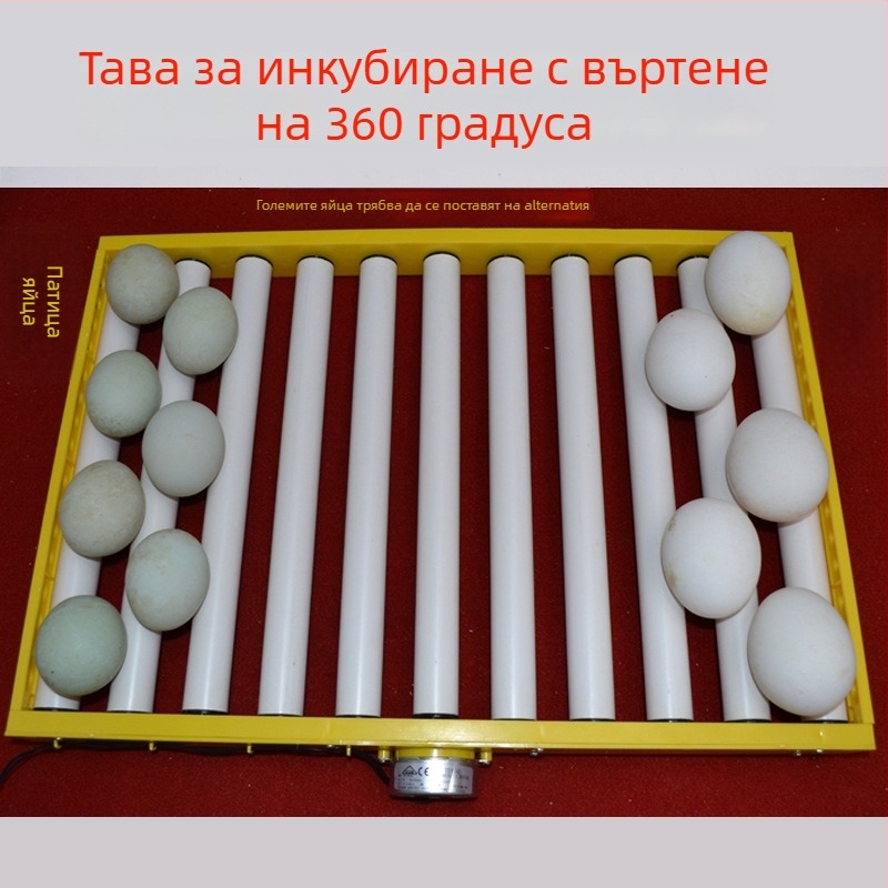 Jiayu Инкубатор за яйца и кошница за излюпване за кокошки – 360° самостоятелен ролер за яйца, 6-месечна гаранция, за птицевъдство и аквакултура