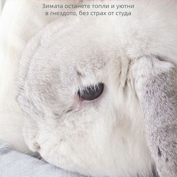 Гнездо за домашни любимци – зимно топло спящо гнездо за зайци, мини зайци, морски прасета и шиншили; Материал: коприна