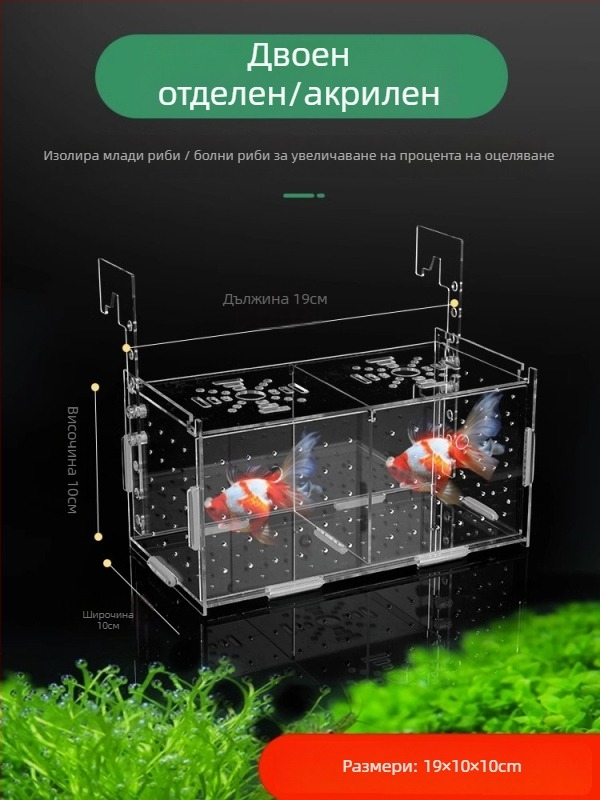 Акрилна изолираща кутия за аквариум – за гупи, костенурки, Betta риби и млади тропически риби; материал: акрил; произход: Хебей; категория: оборудване за аквариуми