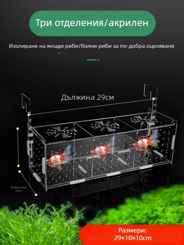 Акрилна изолираща кутия за аквариум – за гупи, костенурки, Betta риби и млади тропически риби; материал: акрил; произход: Хебей; категория: оборудване за аквариуми