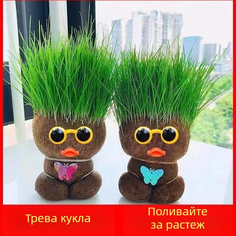Кукла с глава от трева — вътрешно растение в саксия с котешка трева, Zhan yi, модерен минималистичен стил, подходяща за умерена температура, неутрална светлина и балансирана влажност