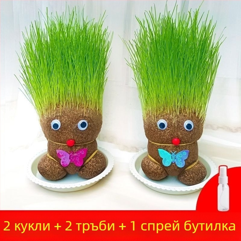 Кукла с глава от трева — вътрешно растение в саксия с котешка трева, Zhan yi, модерен минималистичен стил, подходяща за умерена температура, неутрална светлина и балансирана влажност