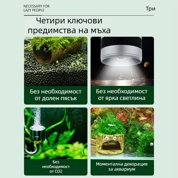 Керамична аквариумна декорация за укритие и ландшафт — марка Crazy aquatic plants; материал: керамика; функция: укритие и ландшафт; основна цел: ландшафт и укритие