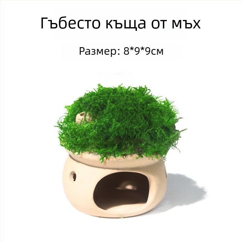Керамична аквариумна декорация за укритие и ландшафт — марка Crazy aquatic plants; материал: керамика; функция: укритие и ландшафт; основна цел: ландшафт и укритие