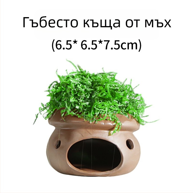 Керамична аквариумна декорация за укритие и ландшафт — марка Crazy aquatic plants; материал: керамика; функция: укритие и ландшафт; основна цел: ландшафт и укритие