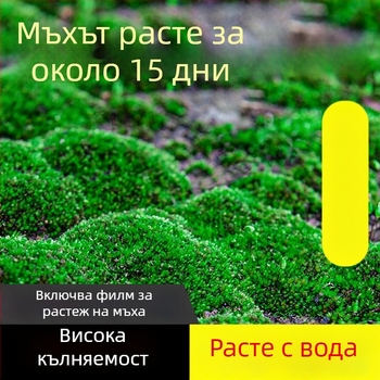 Мъхов споров прах за миниатюрни пейзажи и бонсай — Независима марка, не внос