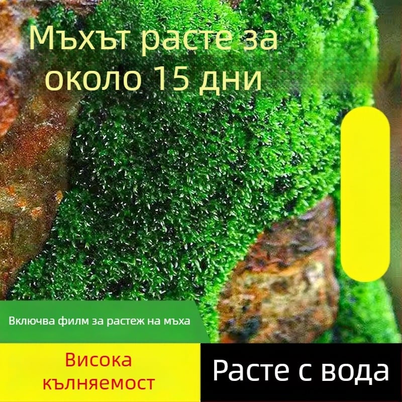 Мъхов споров прах за миниатюрни пейзажи и бонсай — Независима марка, не внос