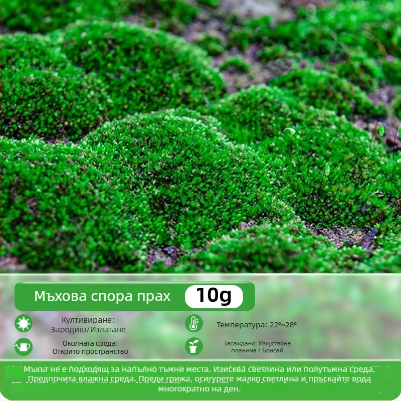 Мъхов споров прах за миниатюрни пейзажи и бонсай — Независима марка, не внос