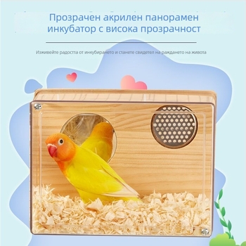 Гнездо за птици за размножаване - За дребни птици - Възраст: Възрастен - Произход: Шандонг - Внос: Не