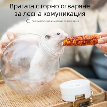 Hartley пластмасова клетка за хамстери за открито, преносим дишащ прозрачен носач (Произведено в Zhejiang)