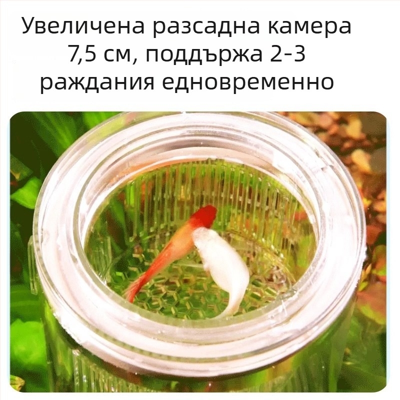 Инкубаторна кутия за гупи риби – акрилна, за излюпване на малки риби, аквариумно оборудване, марка Yee