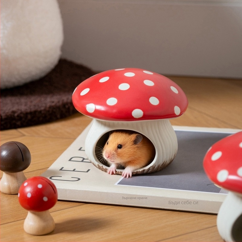 Керамична хамстерска къщичка-убежище и баня за пясък (материал: керамика; категория: прибори за хранене на домашни любимци; внос: Не; марка: Друг)