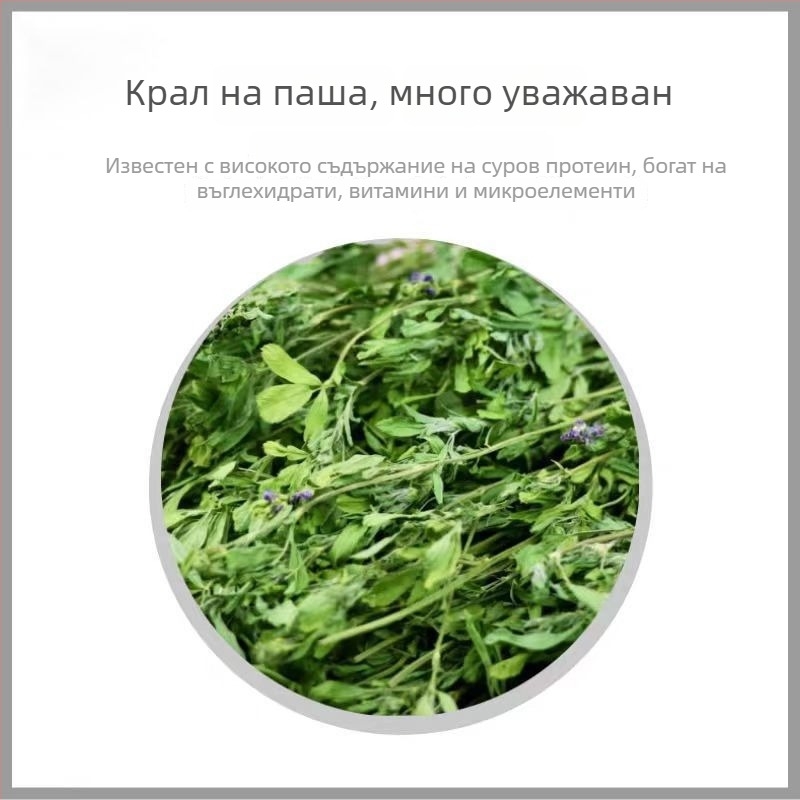 Влажна храна с люцерна за възрастни зайци, шиншили и морски свинчета — Бранд: Appointment with rats