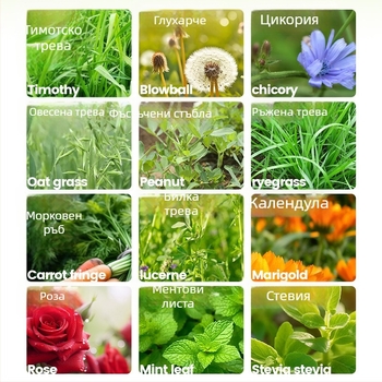 Yee зайче сено — 12 вида: тимотийска трева, люцерна, овес, мента, цикорий; суха храна за домашни любимци, 500 g, 1 пакет