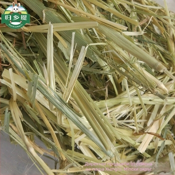 Homecoming Суха храна за зайци и шинчила – фуражна трева от пшеница, 500 g, Ziplock пакет, сушено