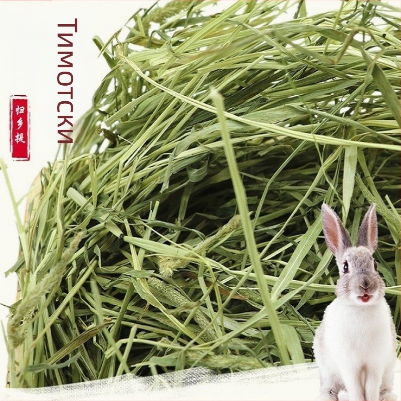 Сушено тимотийско сено за зайци и морски прасенца – храна за домашни любимци