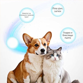 Хранителна добавка за здравето на домашни любимци: мултивитаминни таблетки с пробиотици за котки, кучета, дребни животни и влечуги; контрол на образуването на топчета козина; опаковка 200 броя