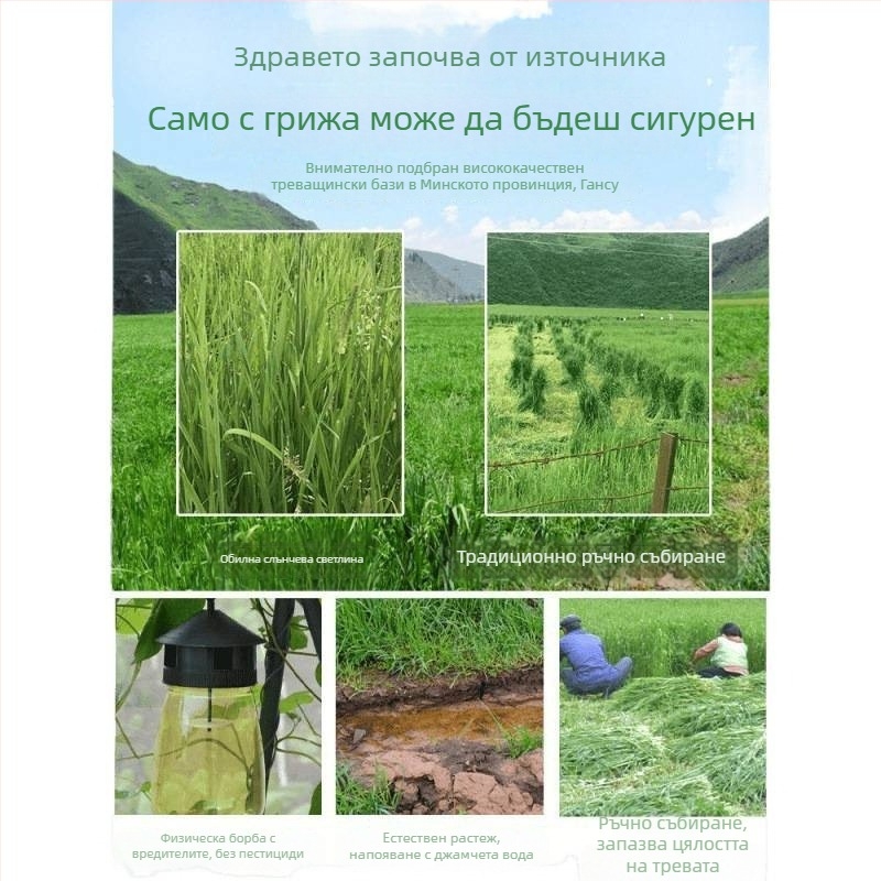 Сух фураж за млади зайци – Timothy Hay, 500 g, TZ6RSXHS | Храна за домашни любимци