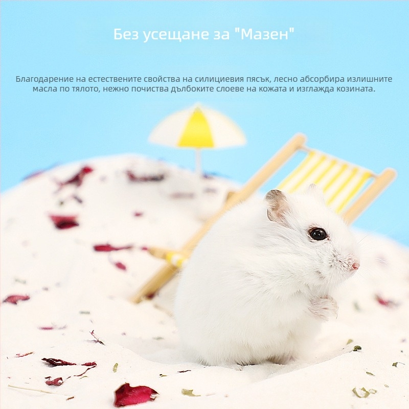 Пясък за къпане на хамстери с цветни листенца – премахва миризмата, почистващ инструмент за малки домашни любимци (Произход: Шандонг; Внос: Не; Частни марки: Да; Категория: Инструменти за грижа за домашни любимци)