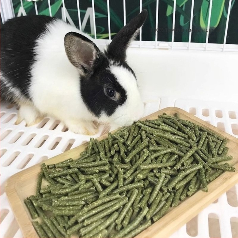 Влажна храна с гранули от тимотийска трева за зайци и малки животни (за възрастни) – храна за домашни любимци