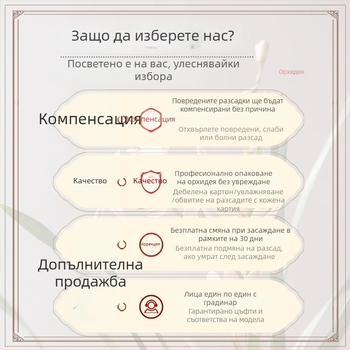 Разсад орхидея, лесна за отглеждане през всички сезони, ароматно стайно растение в саксия